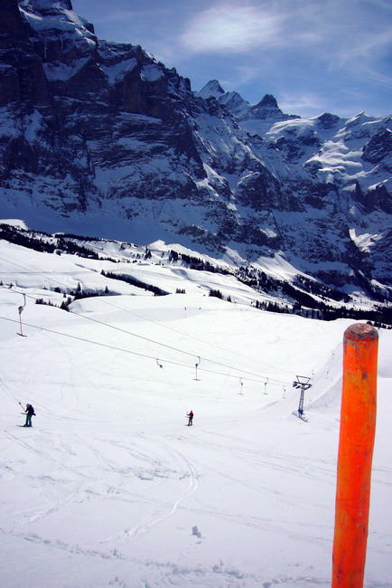 18. März 2009
