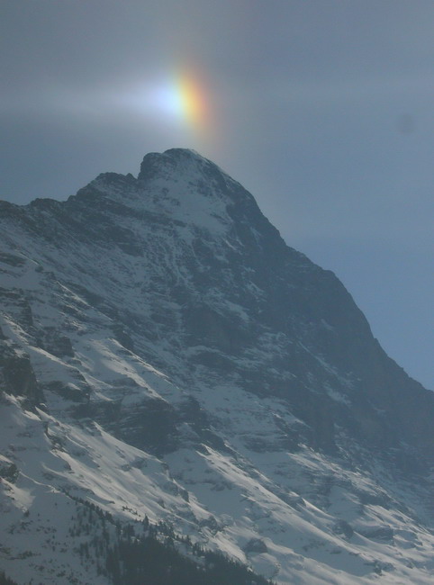 18. März 2009
