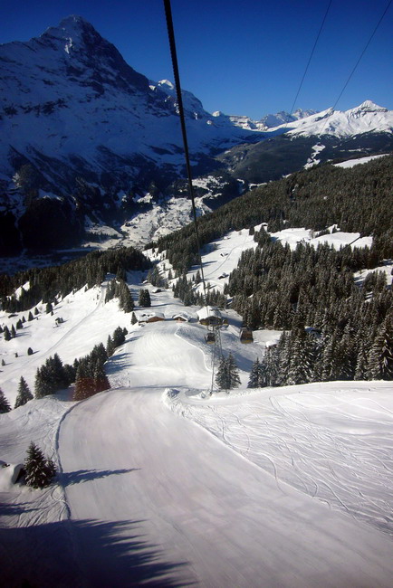 31. März 2009
