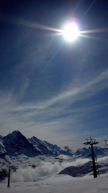 31. März 2009
