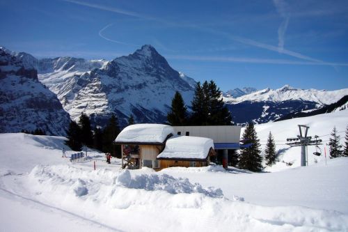 18. März 2009
