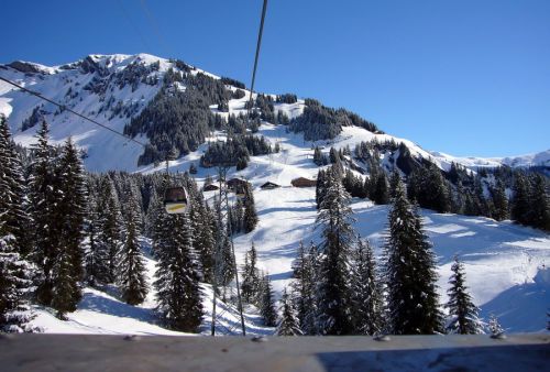 31. März 2009
