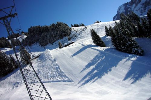 31. März 2009
