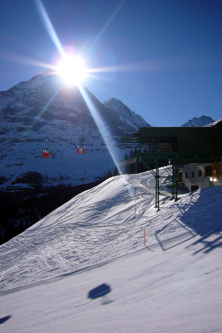 31. Januar 2009
