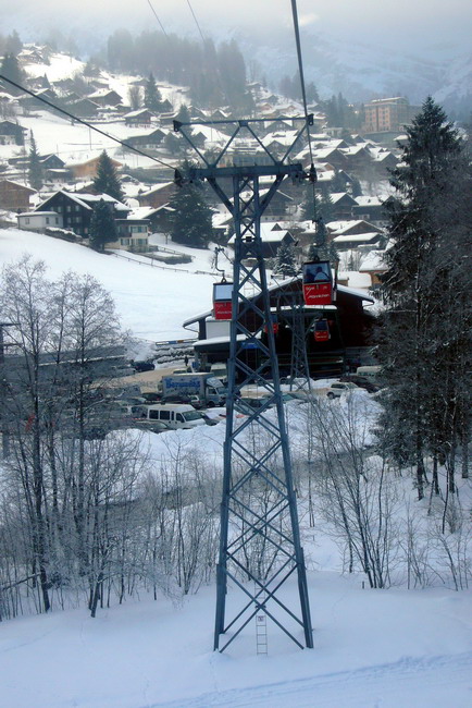 31. Januar 2009
