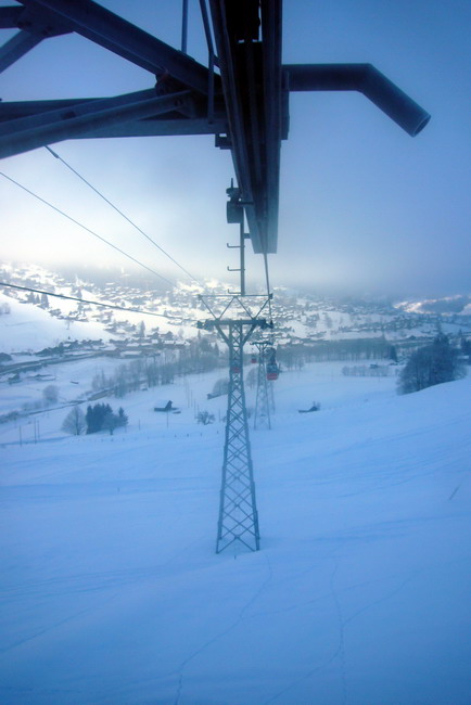 31. Januar 2009
