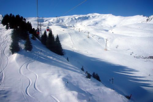 31. Januar 2009
