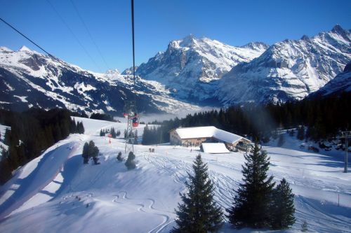 31. Januar 2009
