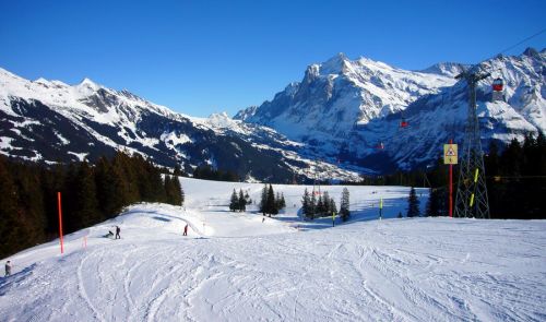 18. Januar 2010
