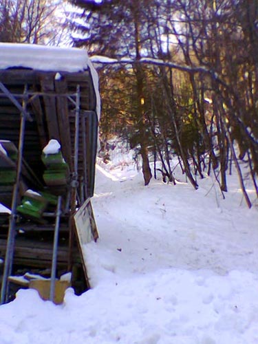 Mutmassliches Trassee des Skiliftes Innerwengen, Januar 2006 - weiter oben ist der Wald so dicht, dass kaum mehr auszumachen ist, wo der Lift einst durchführte.
