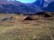 20071014-maennlichen-0123.jpg