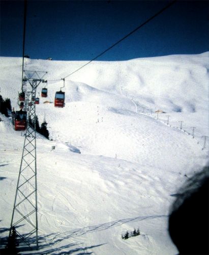 Männlichen-Skilift aus der Gondelbahn, Februar 1982
