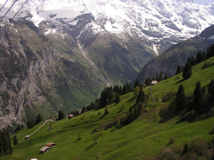 Birg-Mürren, Juni 2006
