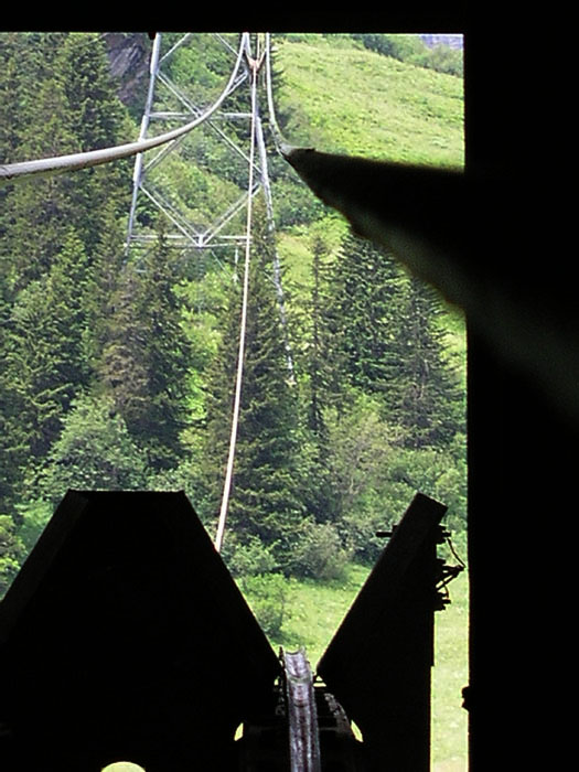 Mürren-Birg, Juli 2006
