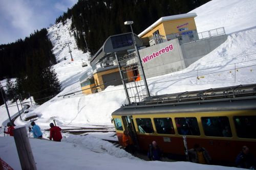 Winteregg, 3. März 2010
