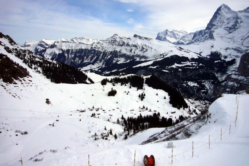 3. März 2010
