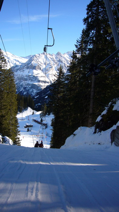 20. Januar 2008
