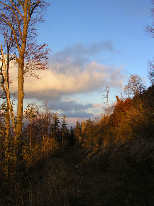 ... [url=http://www.jacomet.ch/themen/skilift/album/thumbnails.php?album=8]Fortsetzung der kleinen Jurawanderung in dieser Galerie[/url]: vom Weissenstein her kommend, links Welschenrohr, rechts die Rötiflue...
