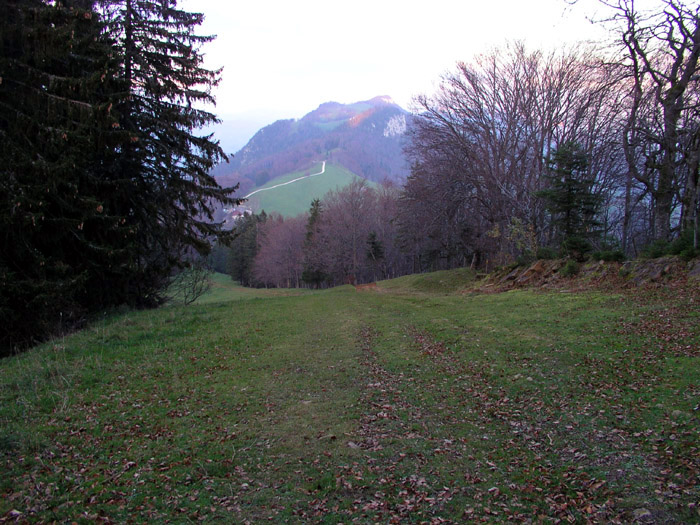 Bödeli-Piste
