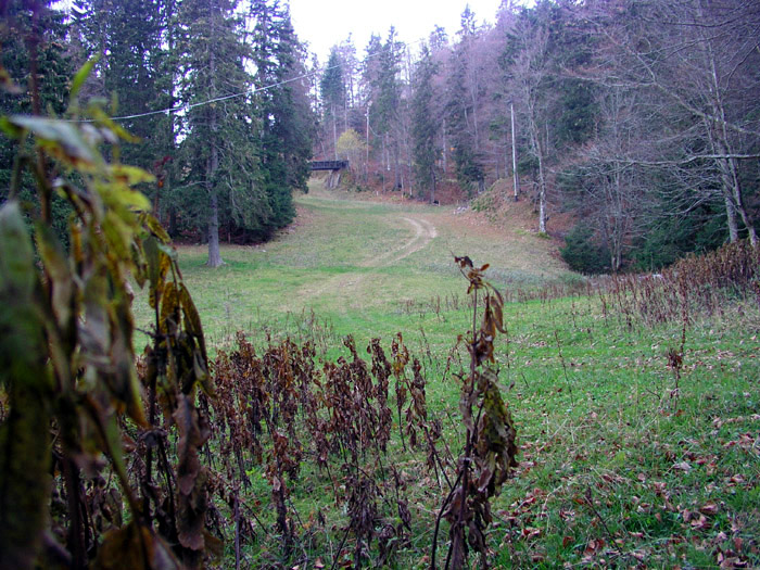 Kähle-Piste, oberer Teil (hier findet jeweils auch [url=http://www.jacomet.ch/themen/skilift/album/thumbnails.php?album=6]das Nachtskifahren[/url] statt)
