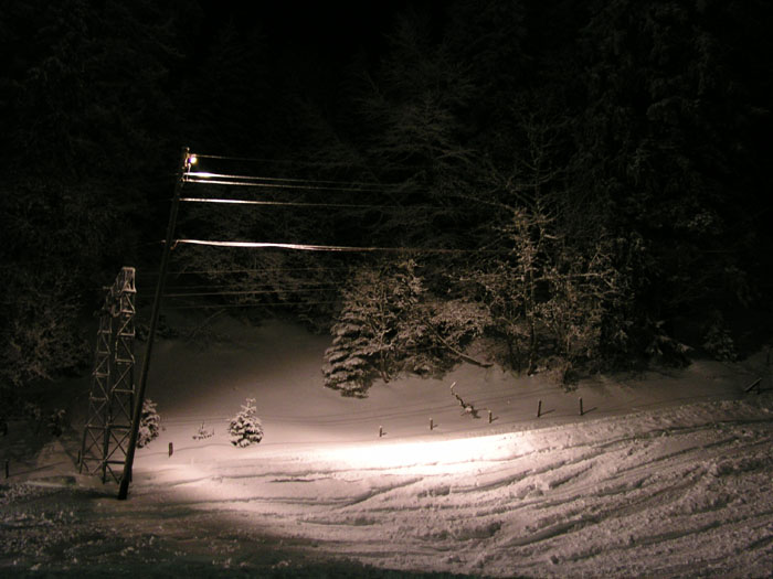 Februar 2004
