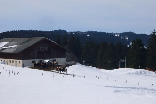 Wir sind auf der Berner Seite (Savagnières) angelangt - die Website des Skigebietes gibts übrigens [url=http://www.chasseral-snow.ch/]hier[/url] 
