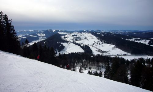 27. Februar 2010
