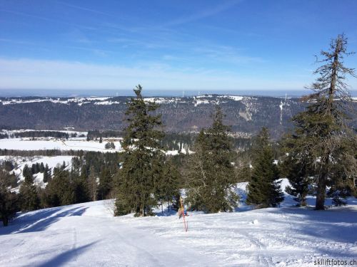 9. März 2019
