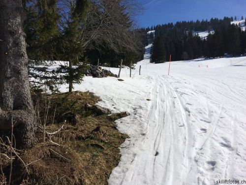 9. März 2019
