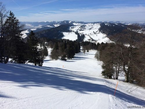 9. März 2019
