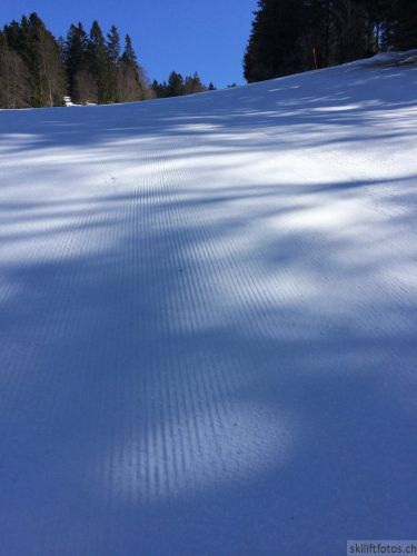 9. März 2019
