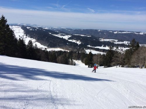 9. März 2019
