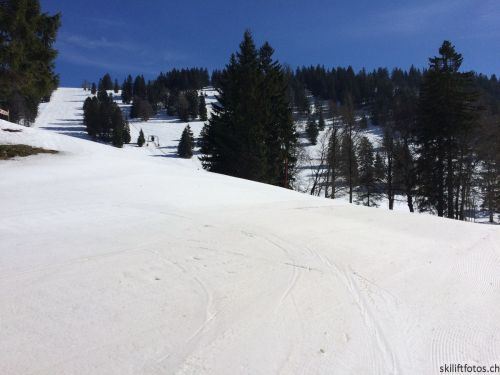 9. März 2019
