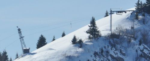 Zoom Tête de Ran
