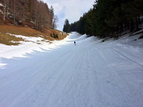 14. März 2015
