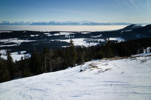 Von oben hat man eine Wahnsinnsaussicht vom Säntis bis zum Mont Blanc (Foto: db.)
