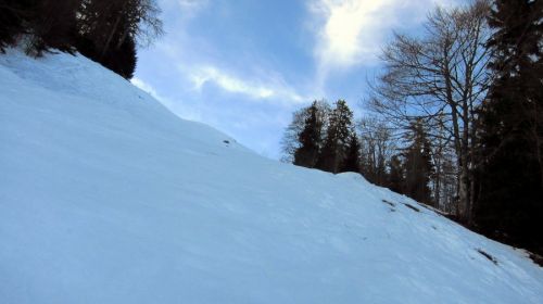 Sogar eine echt schwarze Piste mit einem angsteinflössenden Steilhang hats
