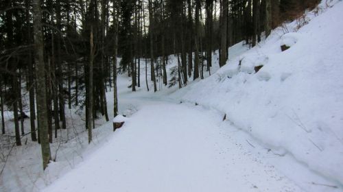 Dent de Vaulion, 18. Januar 2012
