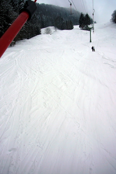 21. Februar 2009
