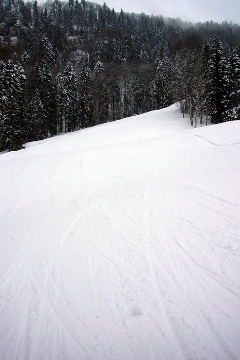 21. Februar 2009
