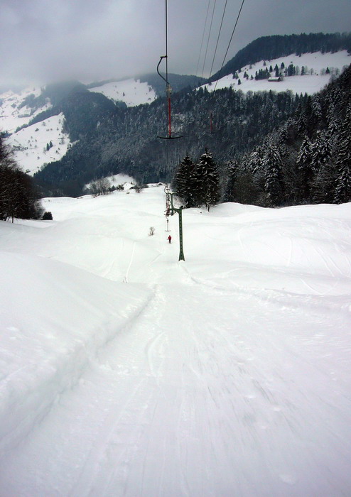 21. Februar 2009
