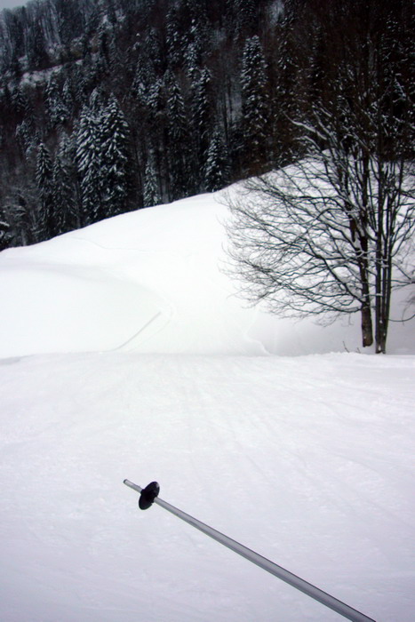 21. Februar 2009

