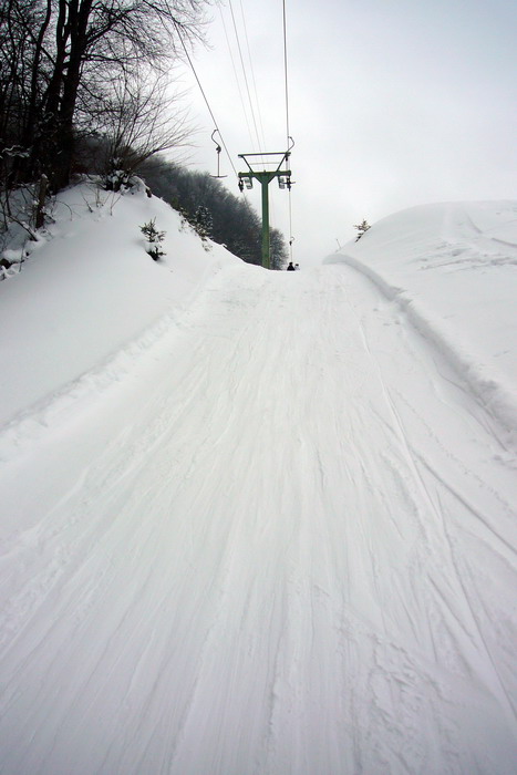 21. Februar 2009
