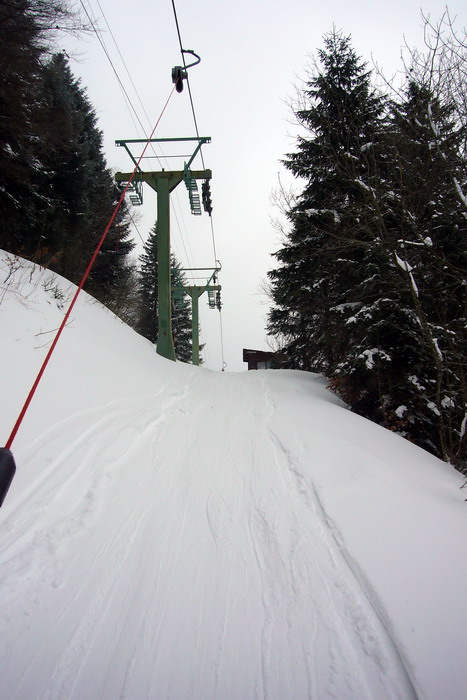 21. Februar 2009
