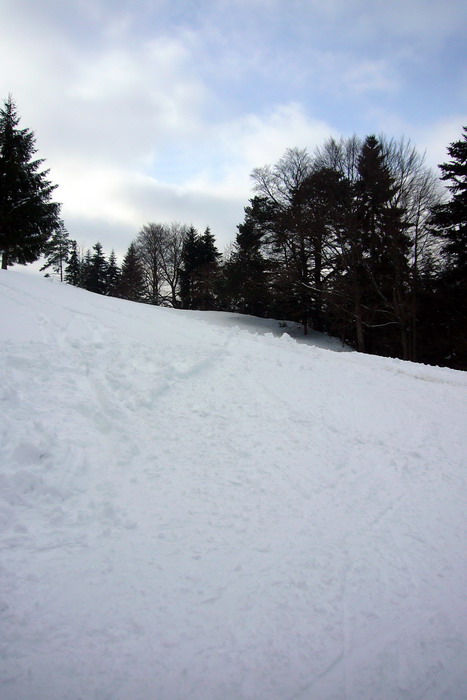 21. Februar 2009
