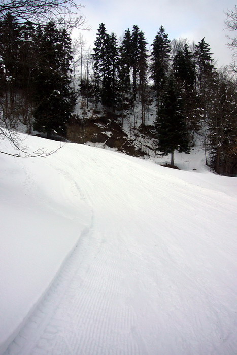 21. Februar 2009
