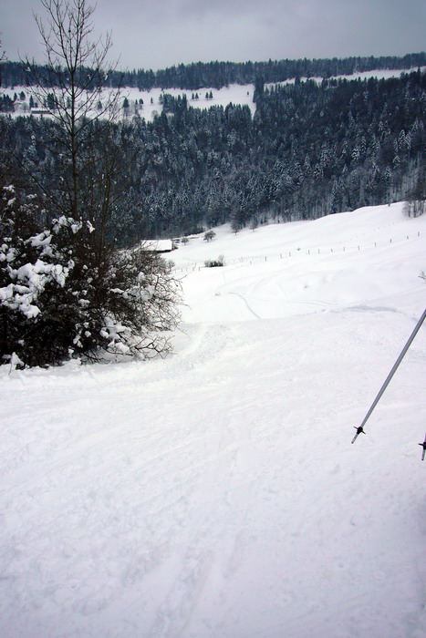 21. Februar 2009
