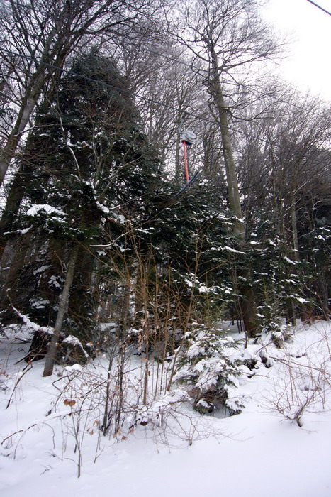 21. Februar 2009
