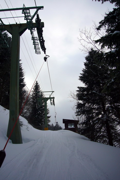 21. Februar 2009
