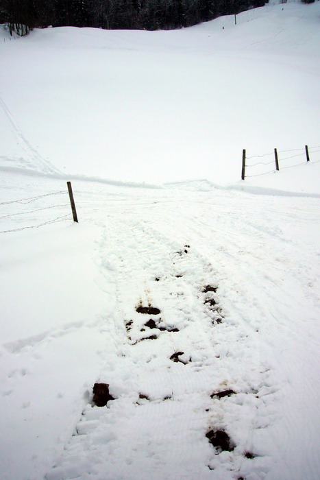 21. Februar 2009
